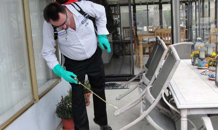 Urban Pest control Management Services