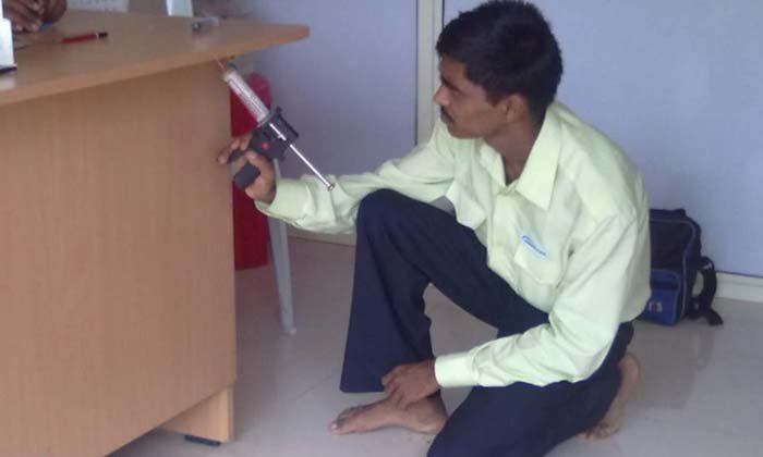 Urban Pest control Management Services