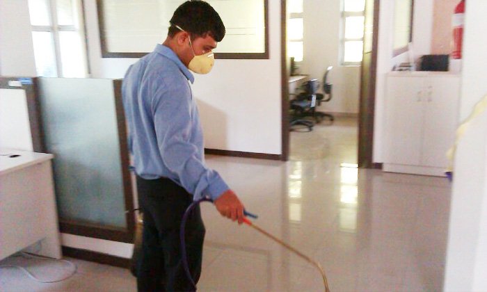 Urban Pest control Management Services