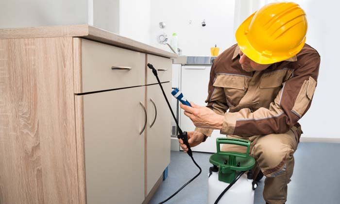Urban Pest control Management Services